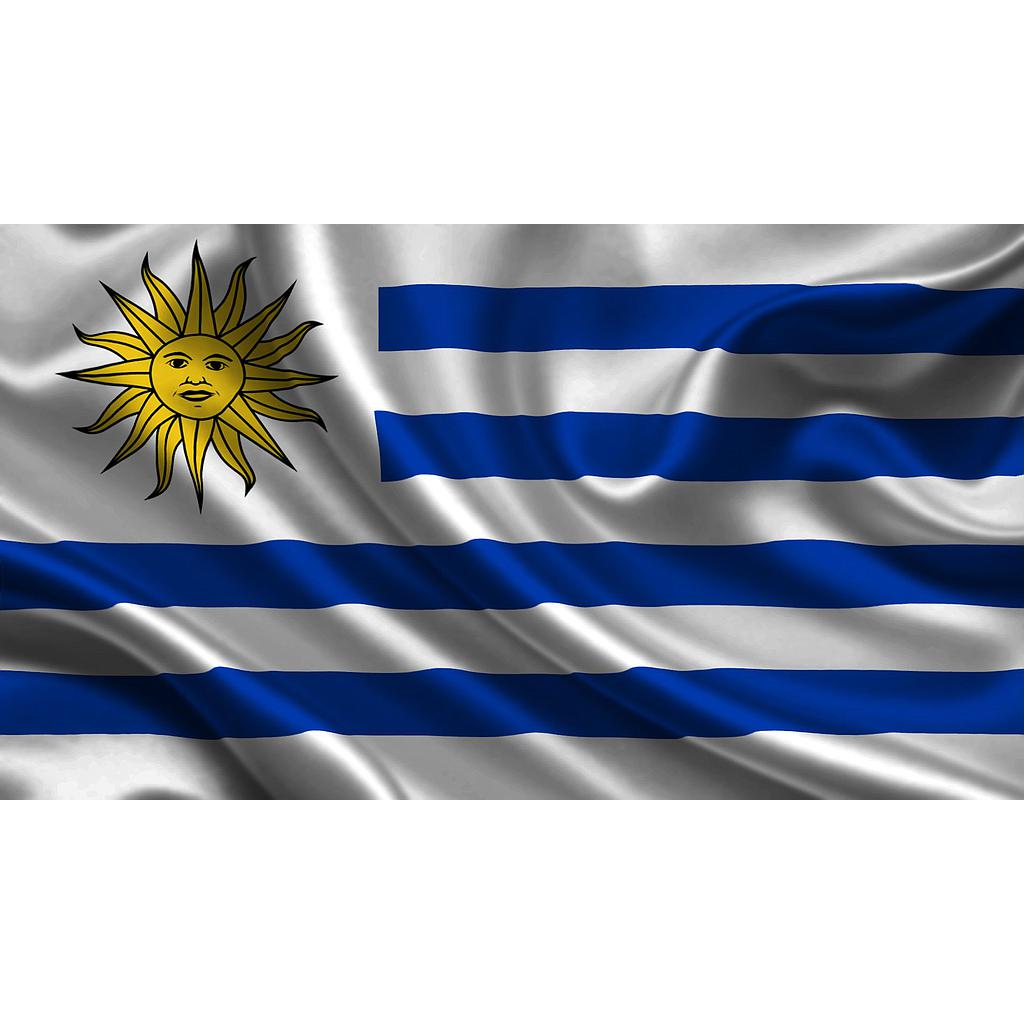 BANDERA URUGUAY 120X180